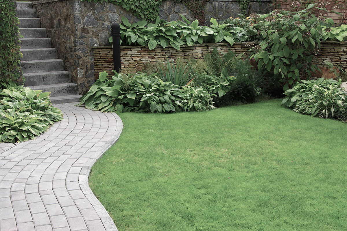 Welcome to JT Landscaping